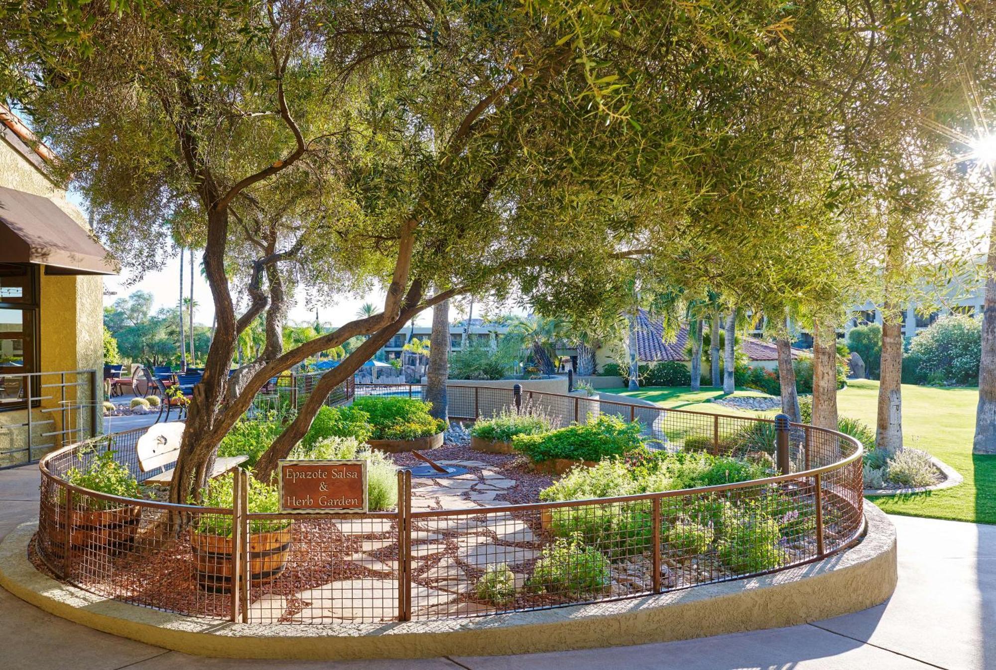 El Conquistador Tucson, A Hilton Resort Oro Valley Eksteriør bilde
